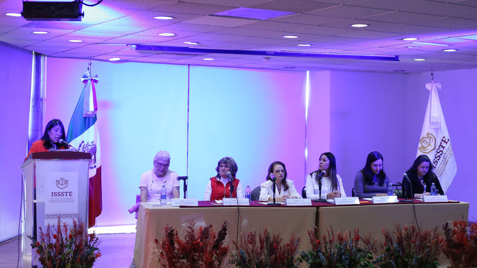 La prevención de la violencia institucional hacia las mujeres adultas mayores